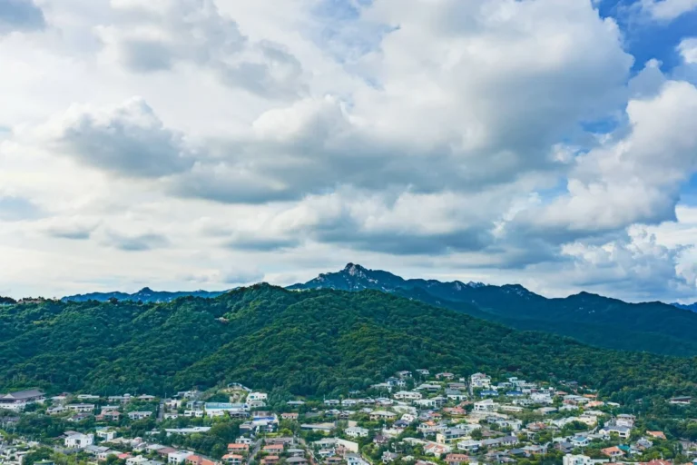 성북구 벚꽃 명소 (출처 : 한국관광공사)