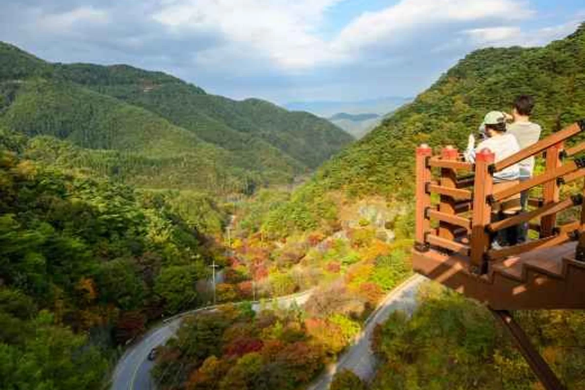 구로구 드라이브 (출처 : 한국관광공사)