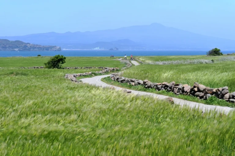 양천구 봄 여행 (출처 : 한국관광공사)