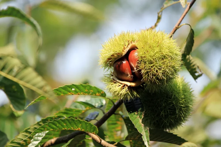 금정 서핑 (출처 : 한국관광공사)