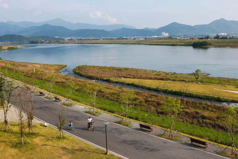 3월 대구 봄꽃 여행 (출처 : 한국관광공사)